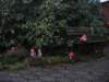 Photo Number 9